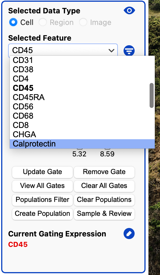Gating_Bold_Feature_Dropdown