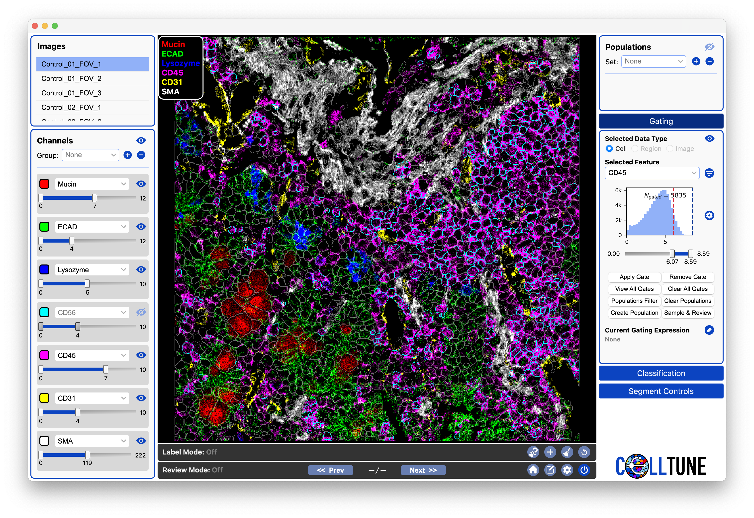 Gating_CD45_Landmarking