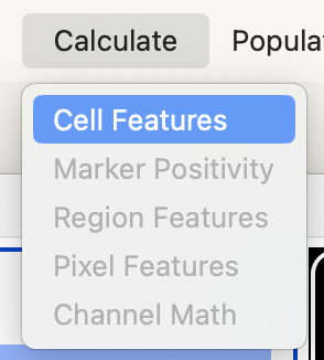 Menu_CalculateFeatures