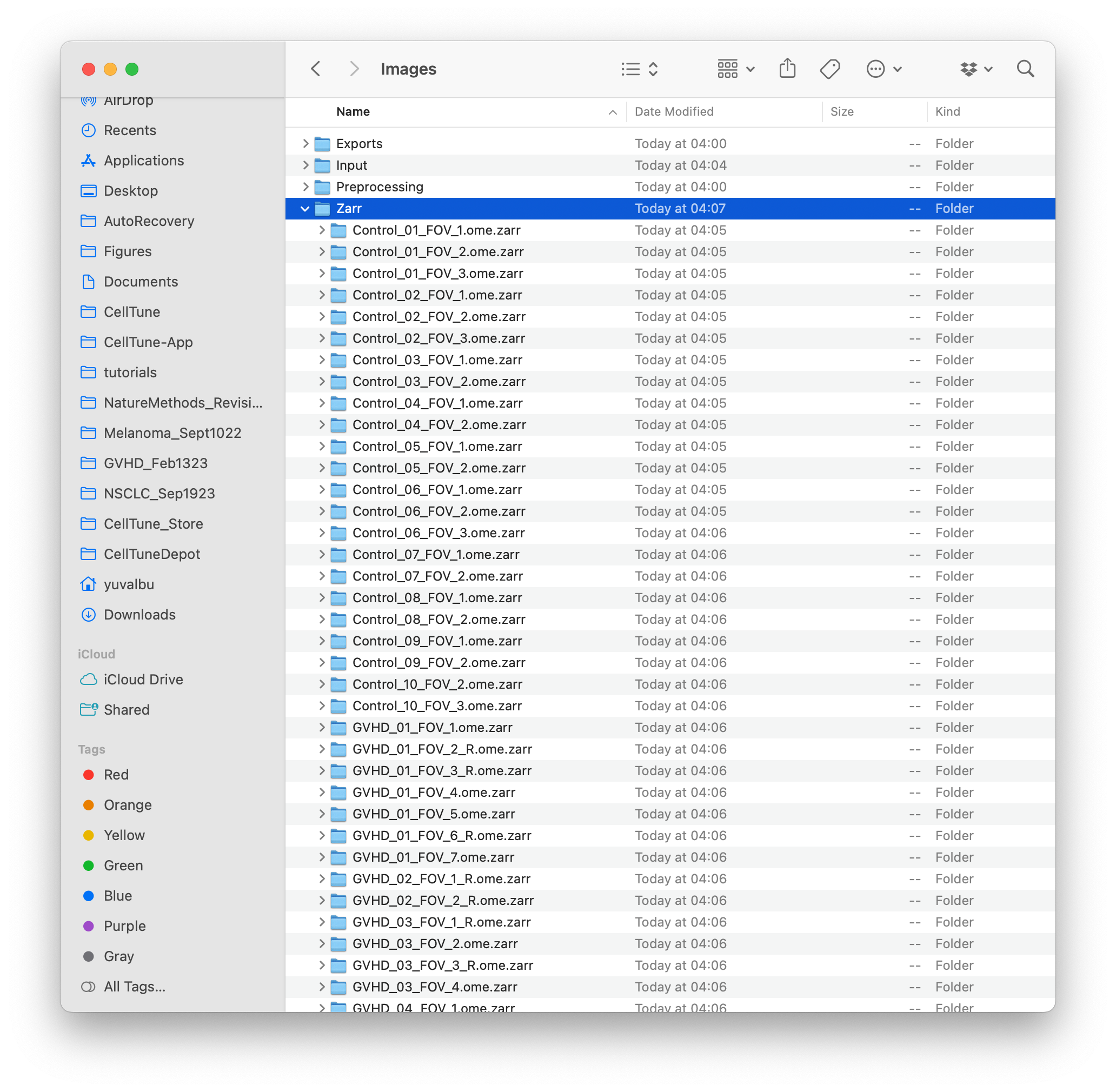 NewProject_6_ZarrFolder