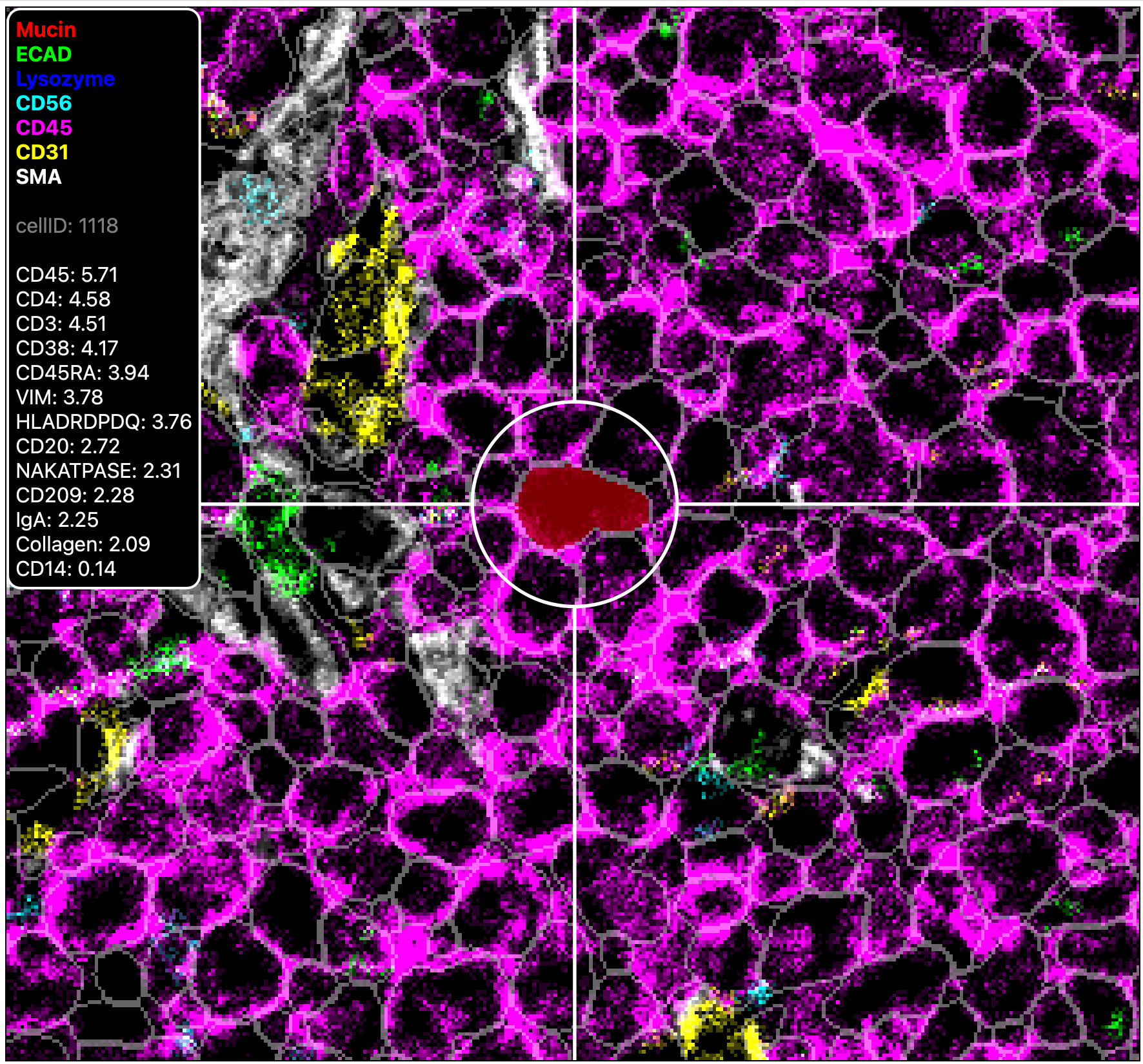 Select_Cell_Hover_Filter