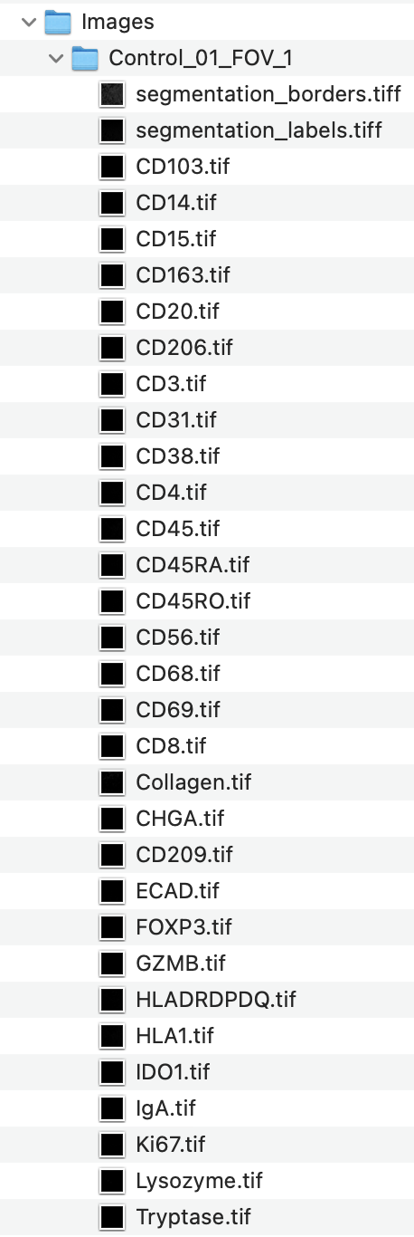 Single Image Folder Contents